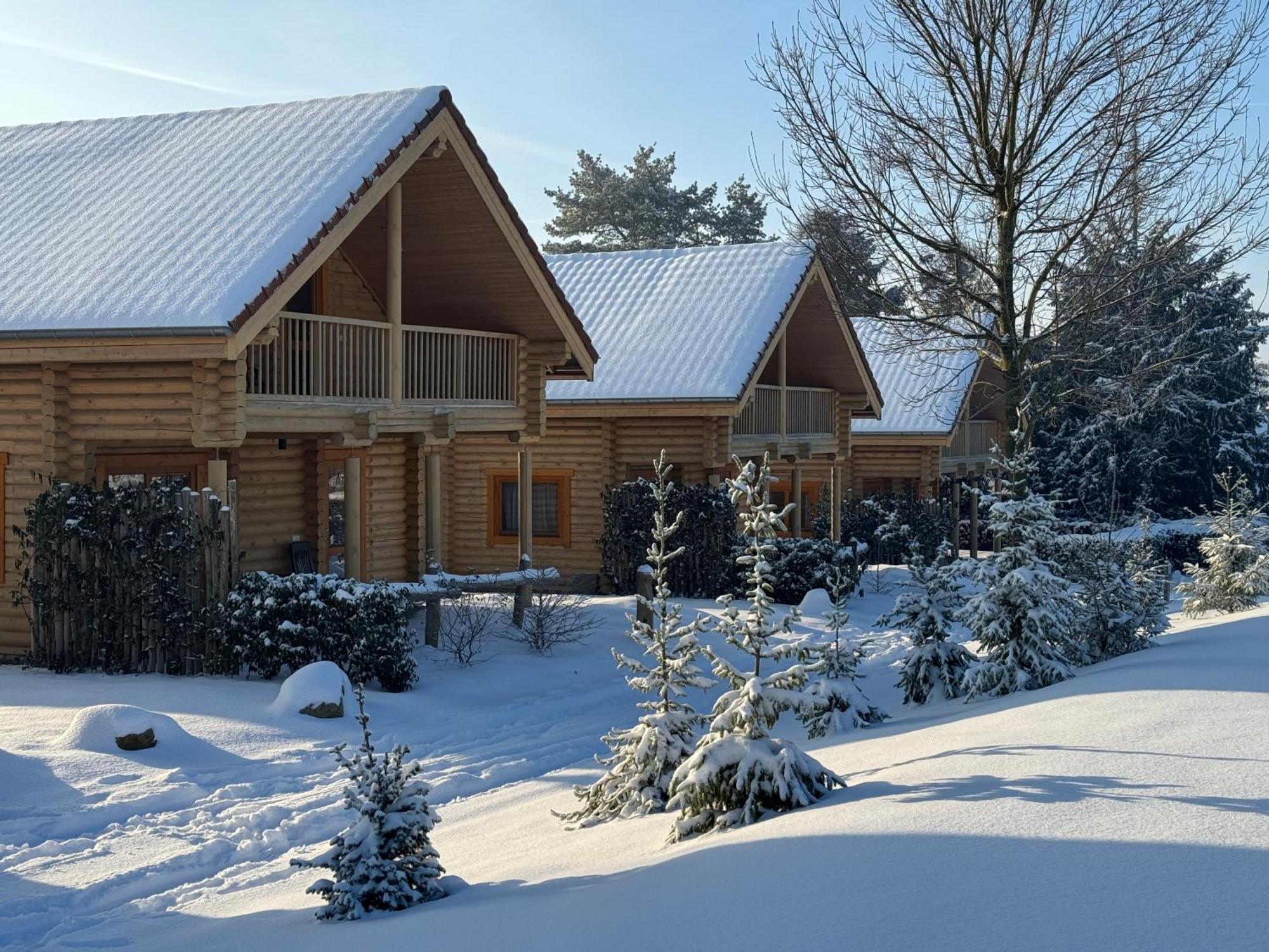 Boomstamhuis High Chaparral Oirsbeek Экстерьер фото